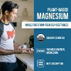 Triquetra Plant Magnesium: Organic, Whole Food Magnesium Supplement - 60 Capsules - 30 Day Supply - 2 of 4