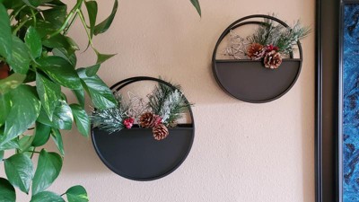 Steelside™ 2 Piece Set Metal Round Wall Planters - Black Iron Plant Holders  for Indoor Plants - Modern Transitional Style Wall Decor - Gift Idea for  Plant Lovers & Reviews