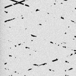 john cena (farewell tour)