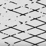 john cena (farewell tour)