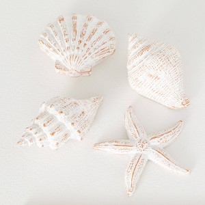 Sullivans 5.25",5.75",4.75" & 5.75" Whitewashed Seashells Set of 4 - 1 of 4