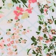 garden party c01