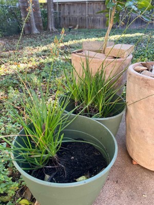 Guest review image 2 of 2, zoom in