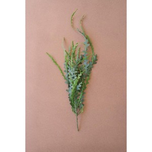 Decorative Faux Fern Stem – 36" Tall Botanical by Kalalou - 1 of 3
