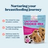 Lactation Cookie Mix - Cinnamon Raisin - 16oz - 3 of 4