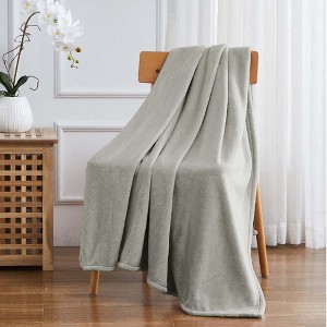 RT Designers Collection Morgan Perfect for Afternoon Naps or Home Decor Solid Matte Fleece Throw 50"x70" Grey - 1 of 3