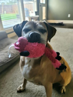 Guest review image 1 of 2, zoom in