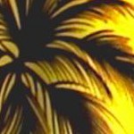 palm tree view orange