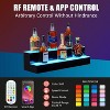 LED Juice Bottle Display Shelf with Remote & App Control, Single-Layer Acrylic Bar Shelf with Multicolor Lighting - 2 of 4