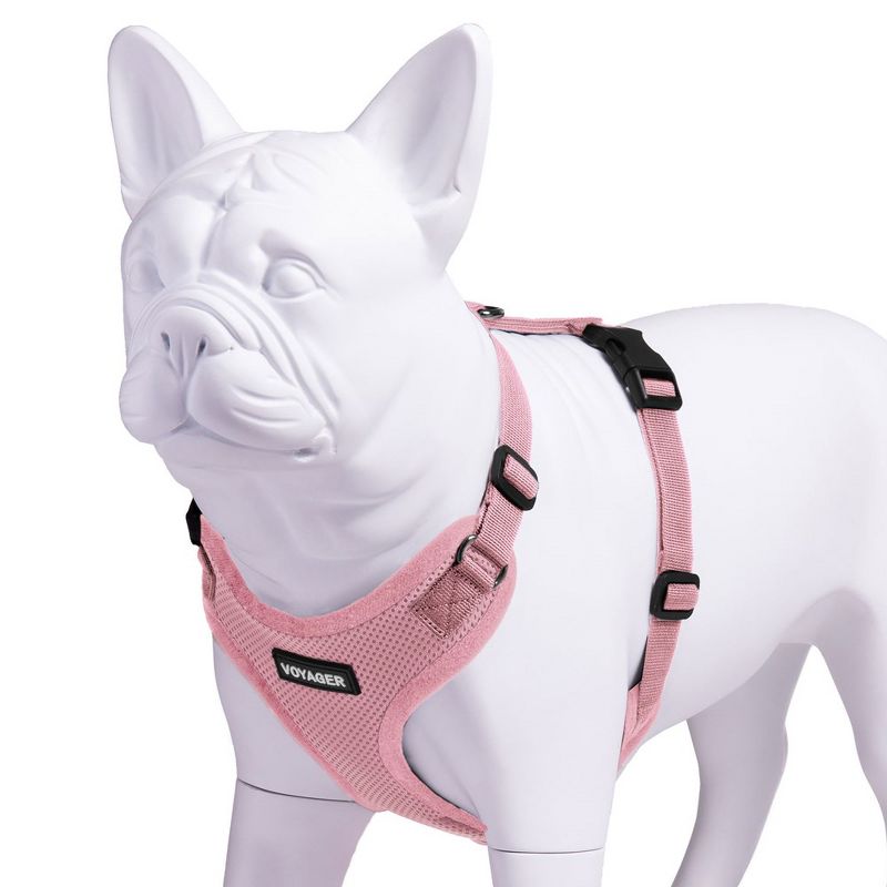 Voyager Step-In Lock Adjustable Dog & Cat Harness for All Breeds, 4 of 6
