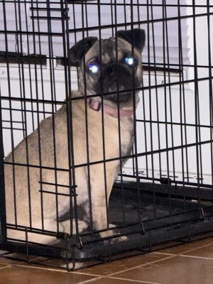 Guest review image 1 of 1, zoom in