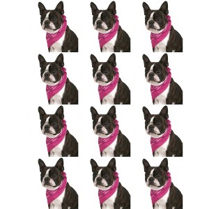 12 Pack Paisley Triangle Cotton Dog Bandanas for Daily Wear or Events - 1 of 4