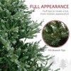 Whisen 6FT Artificial Christmas Tree with 795 Branches, Auto Open, Steel Base, Wide Shape - Green - 4 of 4