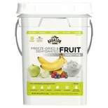 Augason Farms Freeze Dried Fruit Variety Pack Kit - 2lbs