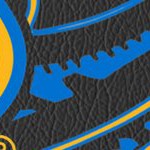 st louis blues