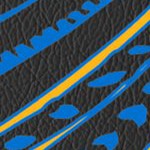 st louis blues