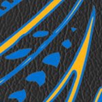 st louis blues