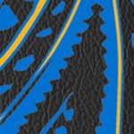 st louis blues