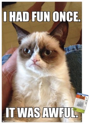 Trends International Grumpy Cat - Fun Unframed Wall Poster Print Clear ...