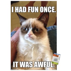 Trends International Grumpy Cat - Fun Unframed Wall Poster Prints - 1 of 4