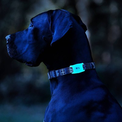 Case-Mate Dog Collar AirTags Mount - Glow in the Dark