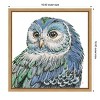 Amanti Art Beautiful Owls I Peacock Crop by Daphne Brissonnet Canvas Wall Art Print Framed 16-in. x 16-in. - 4 of 4