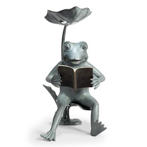 SPI Home Reading Frog Birdfeeder with LED Light – 18.5" Bronze Metal Garden Sculpture, Whimsical Outdoor Feeder with Solar Accent - 1 of 4