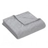 Kate Aurora Pastel Chic Embossed Leaves Ultra Plush Accent Throw Blanket - 50 in. W x 60 in. L - 4 of 4