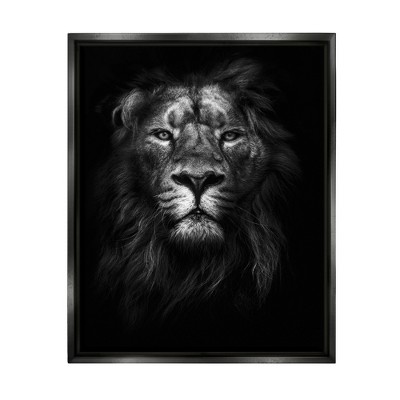 Stupell Industries King of the Jungle Lion In Shadows Black and White Photography