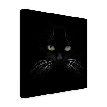 Trademark Fine Art -Lori Hutchison 'Black Cat Centered' Canvas Art