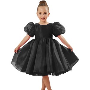 2Bunnies Girls' Organza Puff Sleeve Babydoll Fit & Flare Dress - 1 of 4