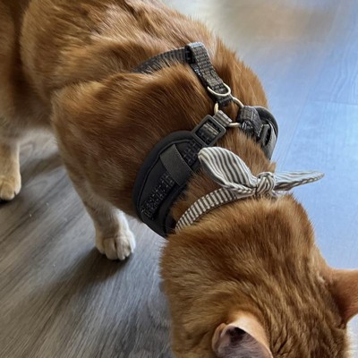 Boots and barkley harness instructions best sale