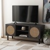 Ophelia 2 Door 2 Shelf Media Stand - Safavieh - 2 of 4