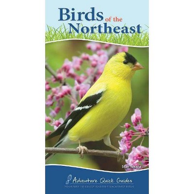 Birds of the Northeast - (Adventure Quick Guides) by  Stan Tekiela (Spiral Bound)