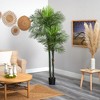 Nearly Natural 7-ft Double Robellini Palm Tree UV Resistant (Indoor/Outdoor) - 4 of 4
