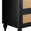 Newcomb 2 Drawer Nightstand Black - Sango: Japandi Style, Wood Frame, Spot Clean, No Assembly Tools - 4 of 4