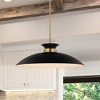 Nuvo Lighting Perkins 1 - Light Pendant in  Matte Black/Burnished Brass - 3 of 4