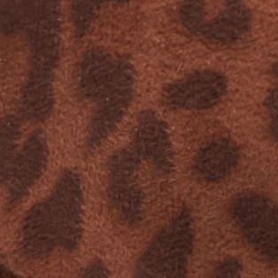 brown leopard