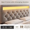 Bed Frame with Adjustable Headboard, Upholstered Platform Bed Frame with Fast-Charging USB Port, LED Bed Frame, No Box Spring Needed, Easy Assembly - 4 of 4