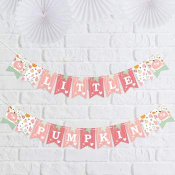 Big Dot of Happiness Girl Little Pumpkin - Fall Birthday Party or Baby Shower Mini Pennant Banner