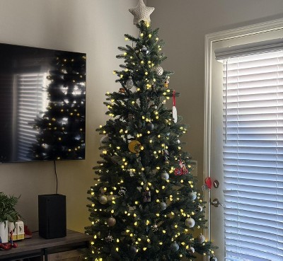 Guest review image 1 of 1, zoom in