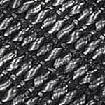 black tone