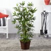 Nearly Natural 4-ft Bamboo Tree in Coiled Rope Planter - 2 of 3