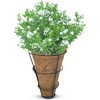 Palm Naki Conical Coconut Coir Planter Basket Set of 4 - Outdoor Wall Mounting Basket for Plant (9") - 3 of 4