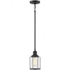 Quoizel Lighting Ludlow 1 - Light Pendant in  Earth Black - 3 of 3