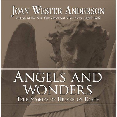 Angels and Wonders - by  Joan Wester Anderson (Paperback)