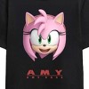 Sonic The Hedgehog Simply Amy Rose Adult Black Crew Neck Short Sleeve T-shirt - 2 of 3