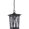 Quoizel Lighting Grover 1 - Light Pendant in  Clear - 2 of 4