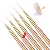 Saviland Pro Micro-Liner Brush System - 5PC Zero-Split Kolinsky for Gel Artistry Long Lines & Micro-Details (Size: 5 Count) - 2 of 4