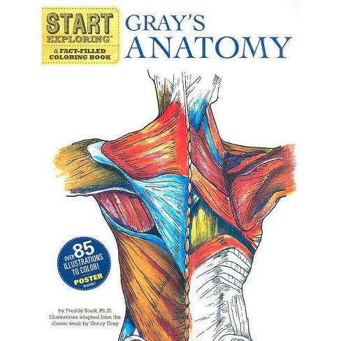 Download Gray S Anatomy Start Exploring Coloring Books By Fred Stark Mixed Media Product Target